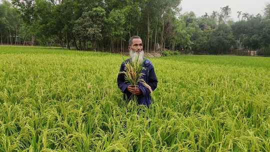 image-here
